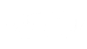 qualityvanparts-logo