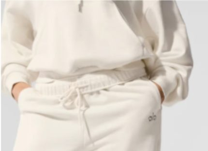 AloYoga AccoladeHoodie